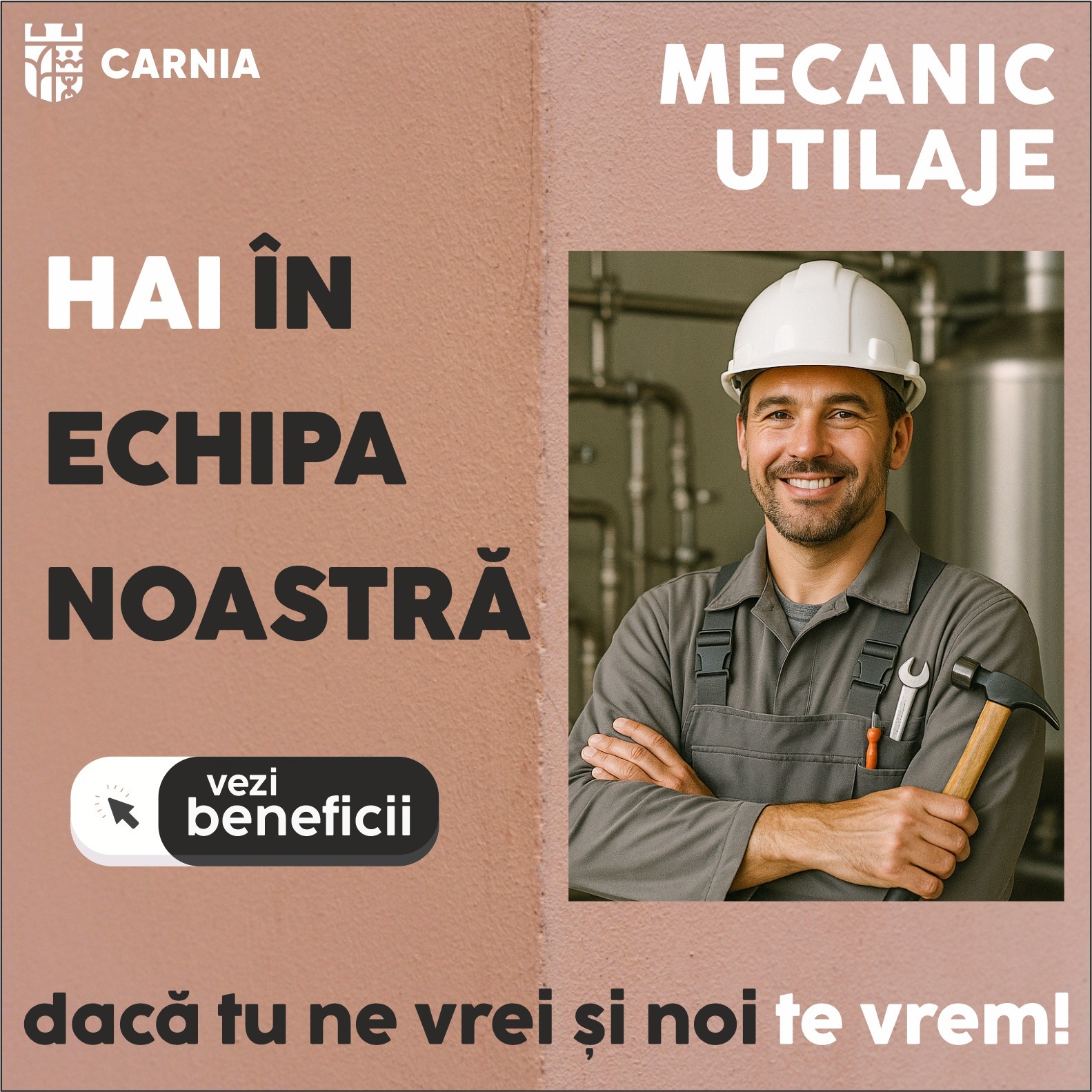 Mecanic Utilaj