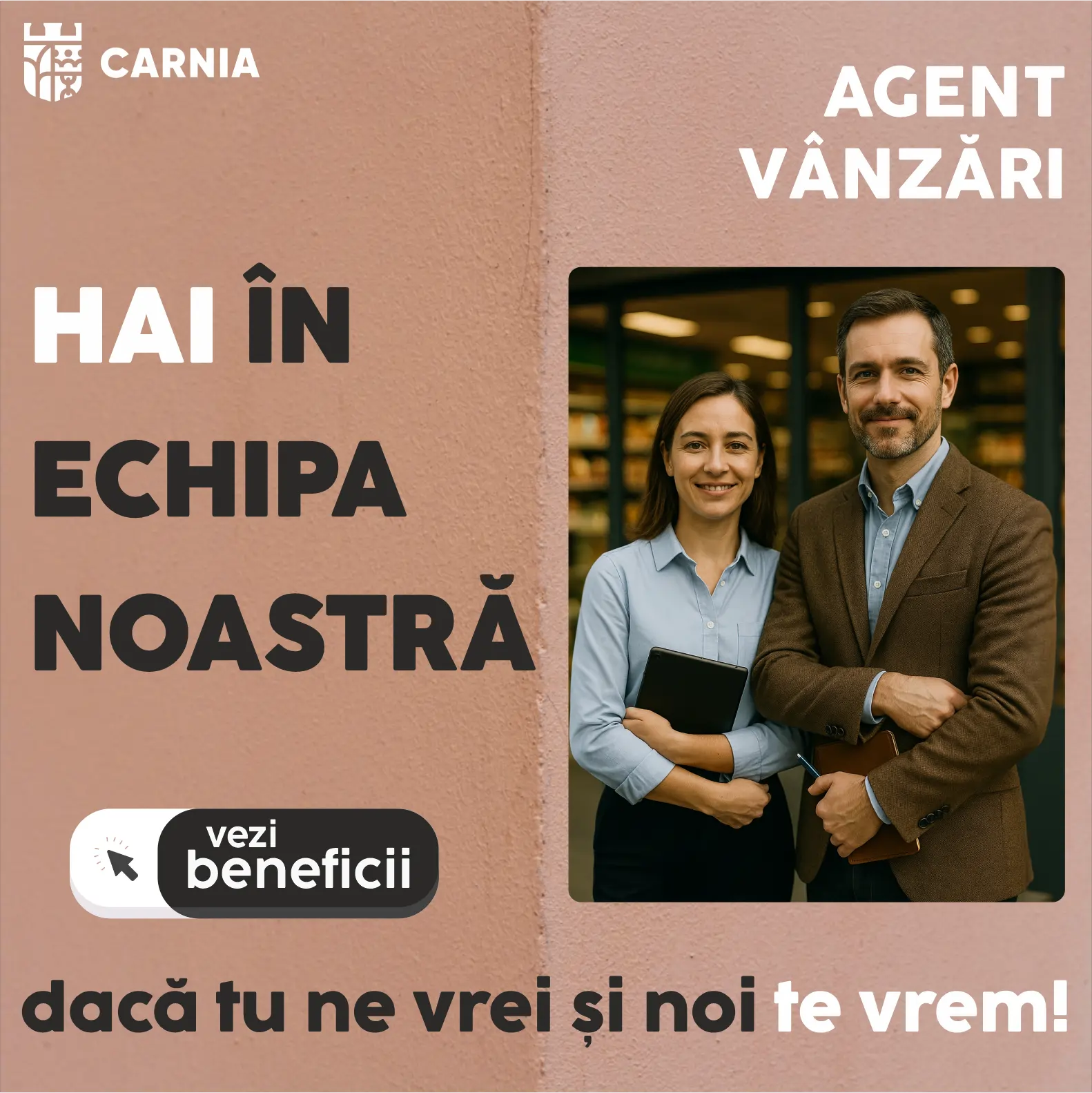 AGENT DE VANZARI - IAȘI
