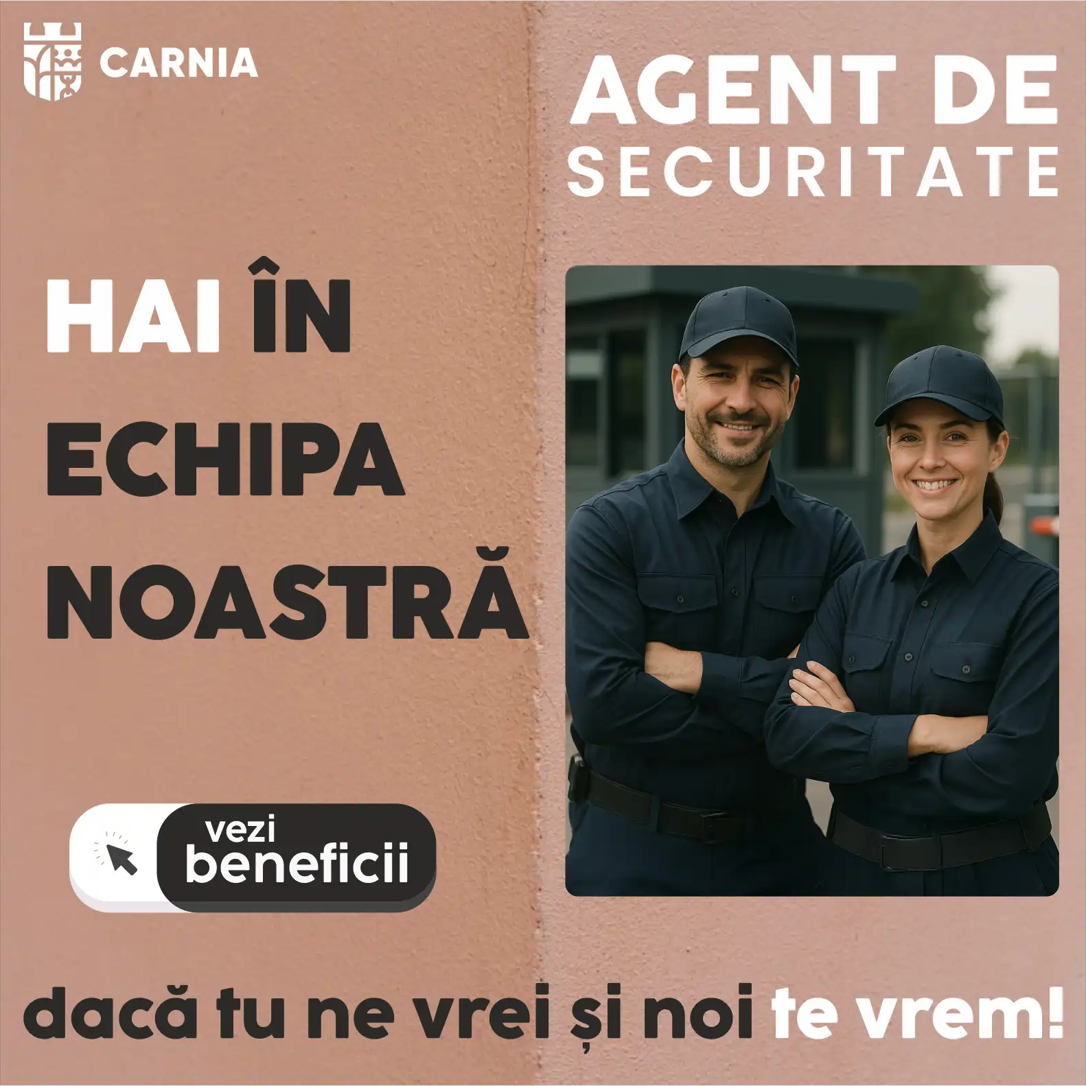 Afiș Job
