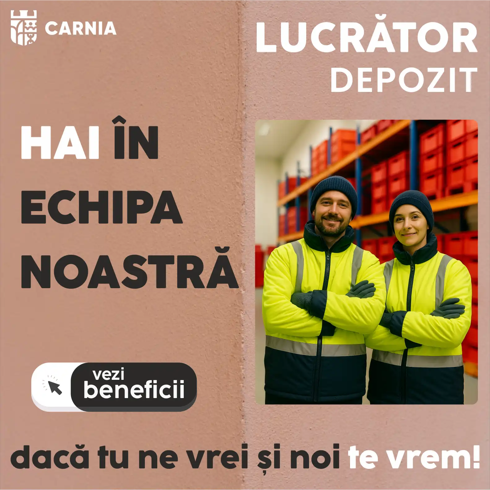 Lucrător Depozit Mizil