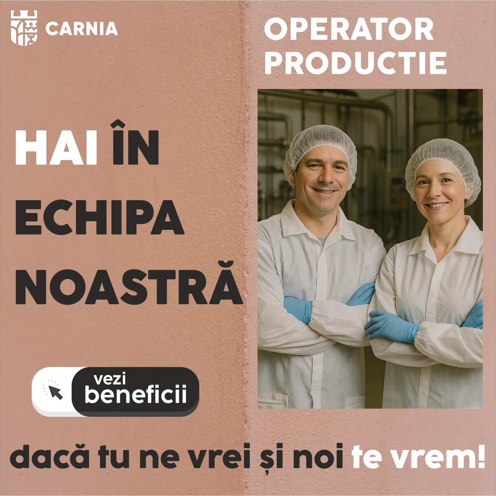 MUNCITOR FABRICA