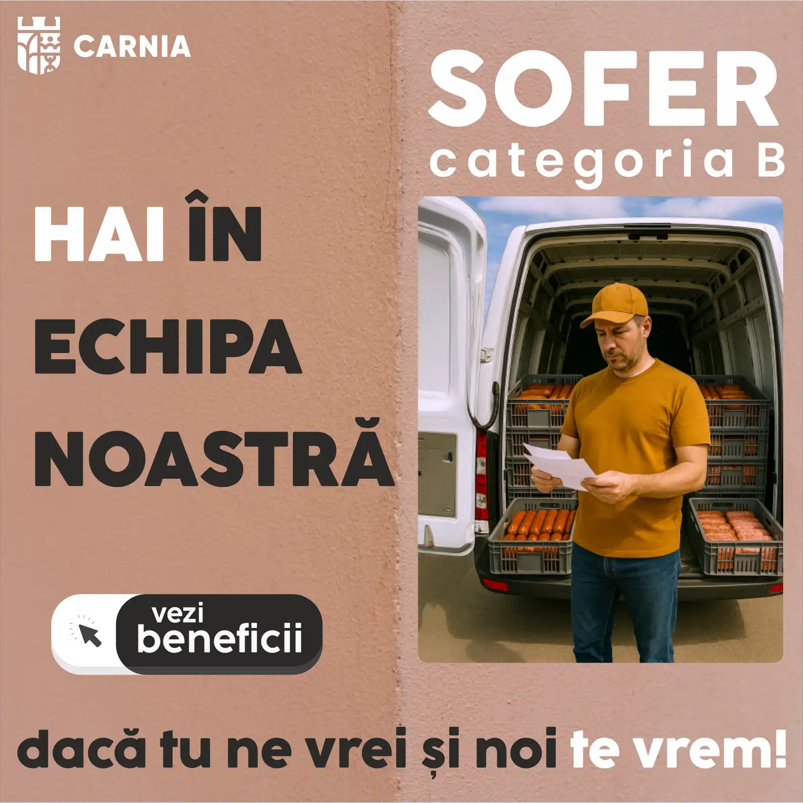 Sofer autoturisme si camionete - Mizil