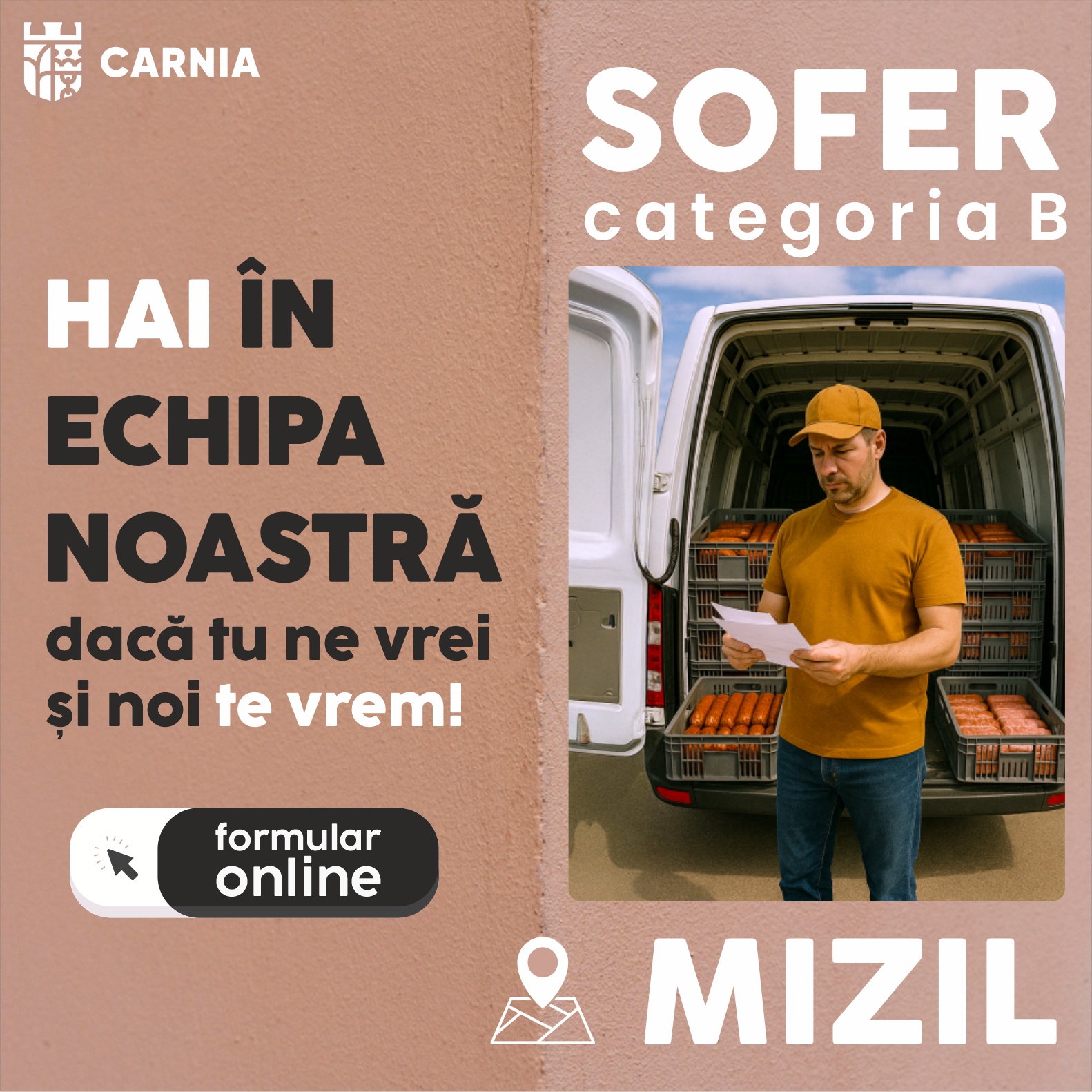 Sofer autoturisme si camionete - Bacau