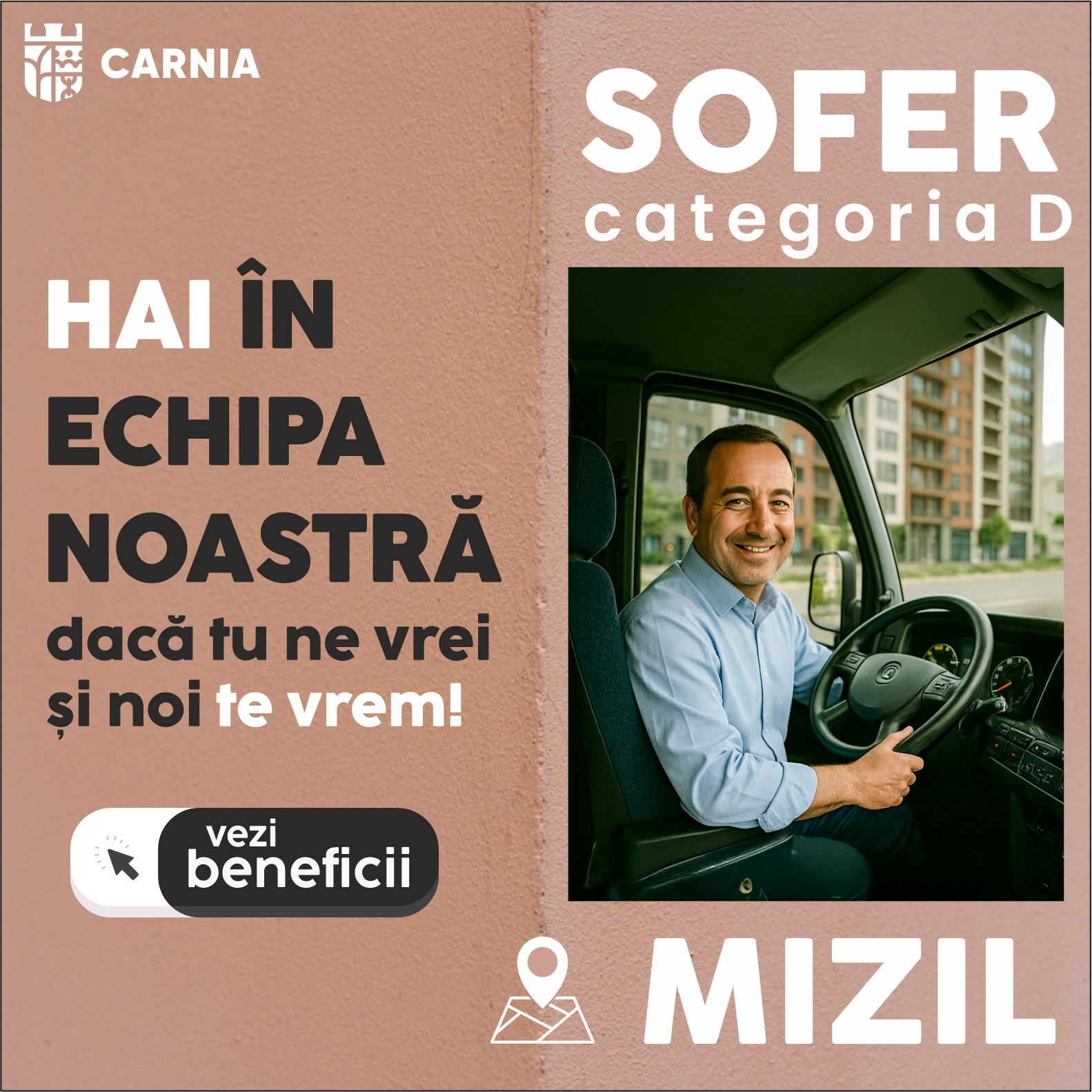 Sofer de Transport Persoane - Mizil