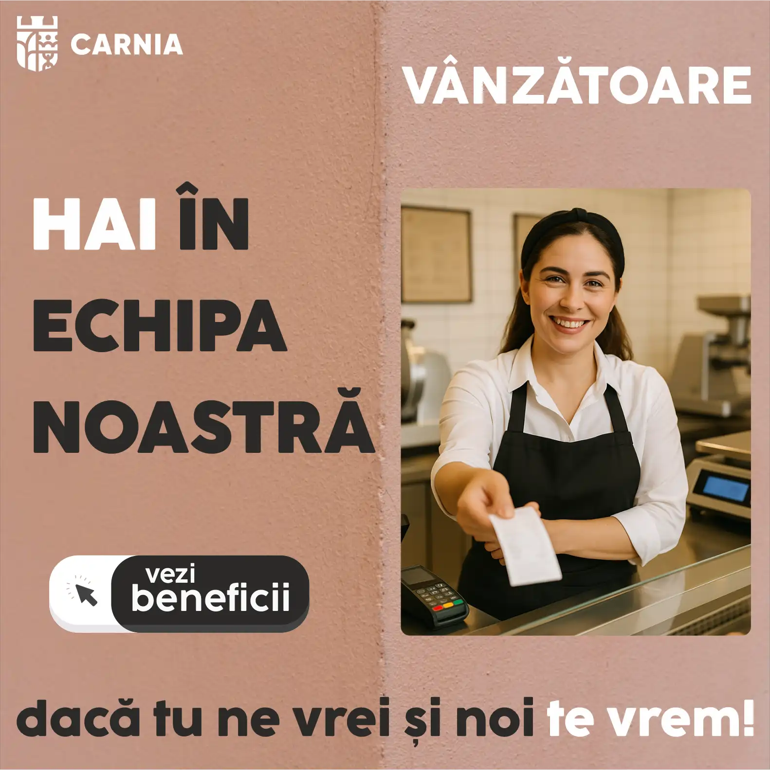 Vanzatoare Navodari
