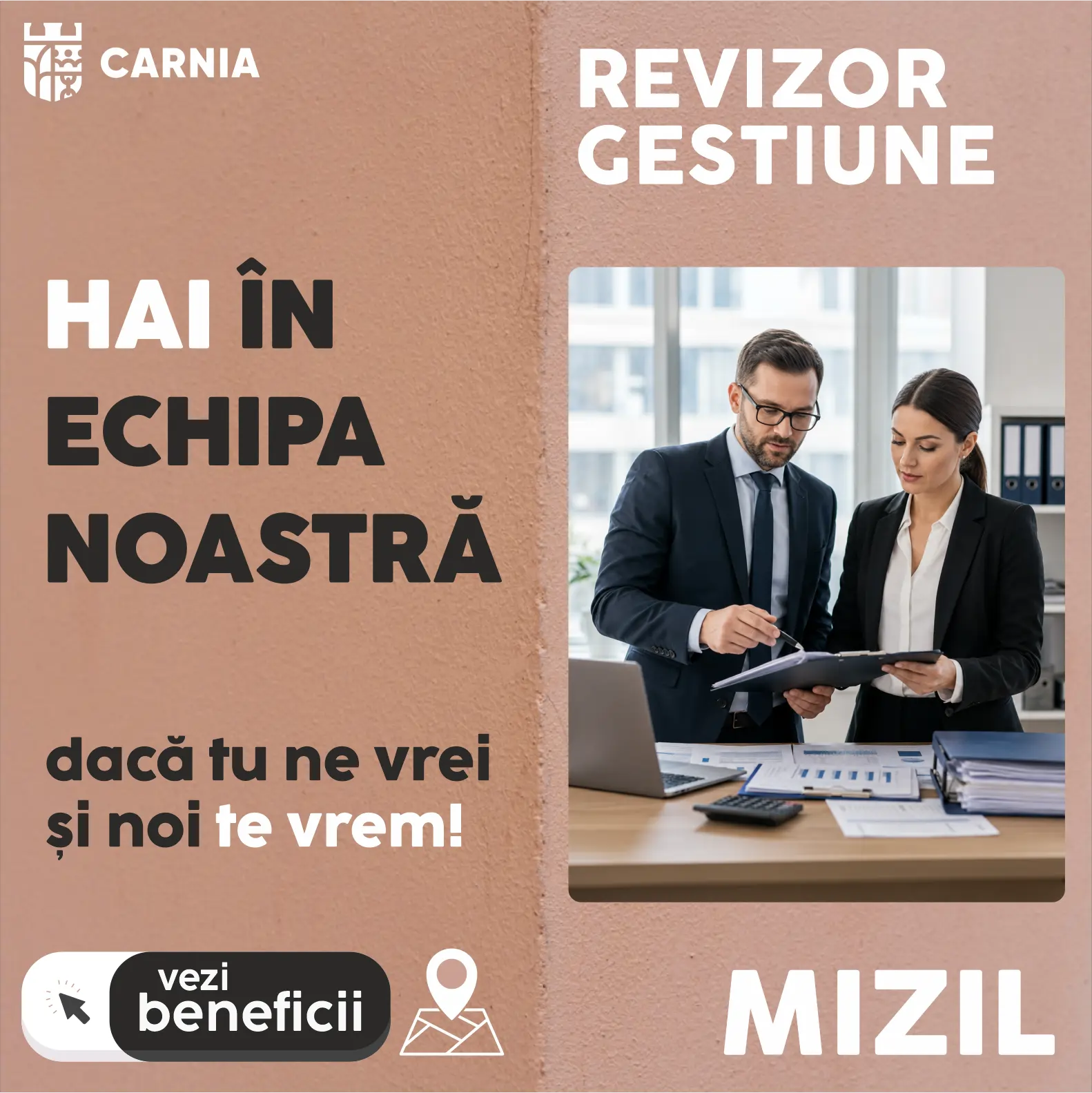 REVIZOR GESTIUNE 3800 - 4640 NET